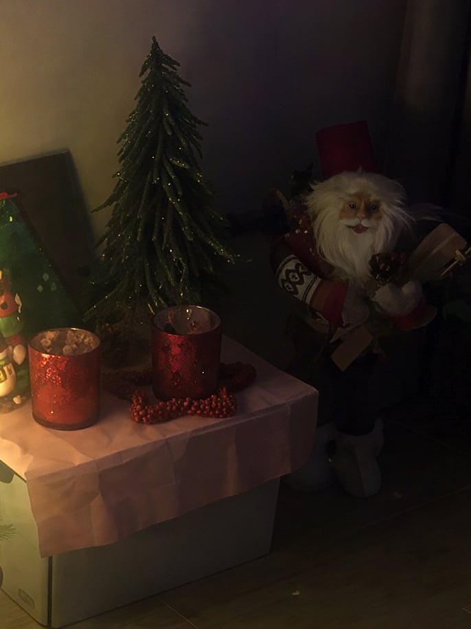After: the same crop after AI upscaling to 4K in Enhance mode – noise removed, fur trim, glitter and tree lights sharp at 100%
